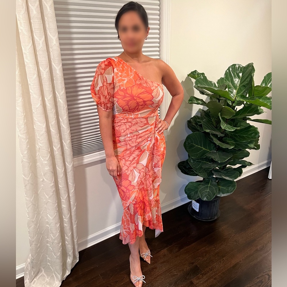 BCBGMAXAZRIA Floral Dress